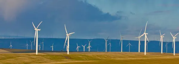Wind Turbines Wheat Field Image Dramatic Cloudy Sky — Stock Photo, Image