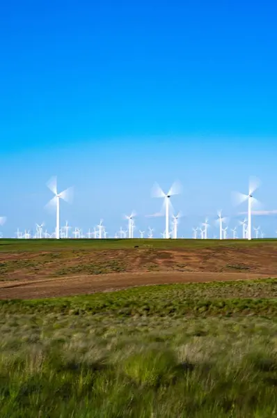 Wind Turbines Wheat Field Spring Image Scenic Landscape — Stock Photo, Image
