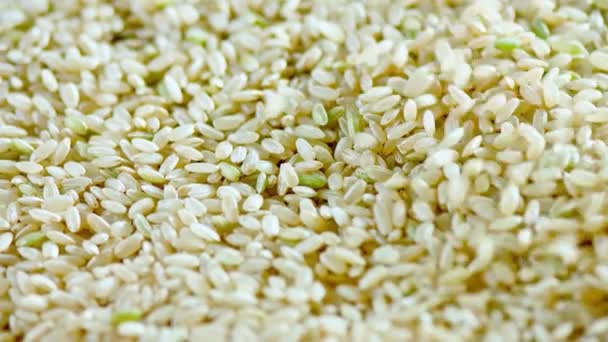 Close Dolly Shot Brown Rice Video — Stock Video
