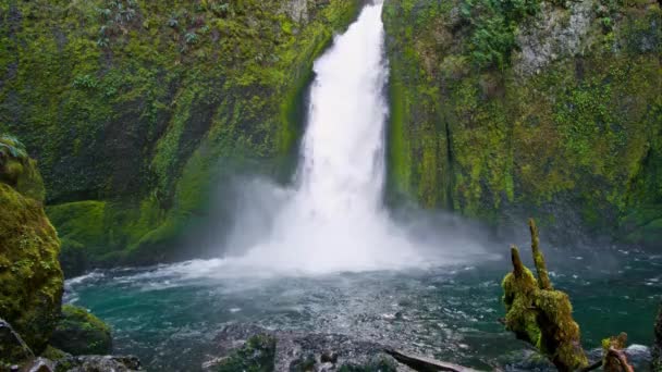 Spring Cascading Jewel Objevování Nejkrásnějšího Vodopádu Columbia Gorge Video — Stock video