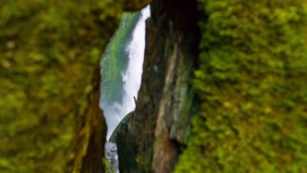 Vídeo Tirar Fôlego Das Cachoeiras Primavera Montanha Columbia Gorge — Vídeo de Stock