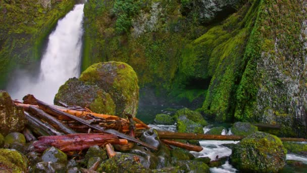Каскадні Коштовності Весни Відкриття Найкрасивішого Водоспаду Колумбійській Ущелині — стокове відео