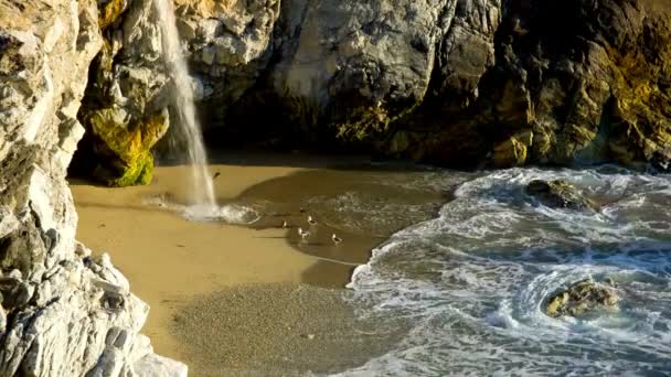 Videoaufnahmen Von Mcway Wasserfall Und Ozean Big Sur Kalifornien — Stockvideo
