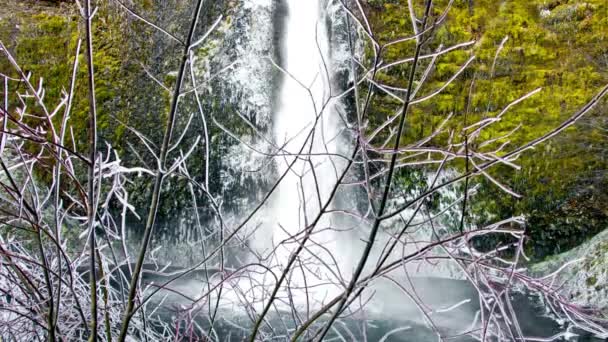 Ledové Jarní Sloučení Okouzlující Vodopád Zasněžené Horské Říši Divů Video — Stock video