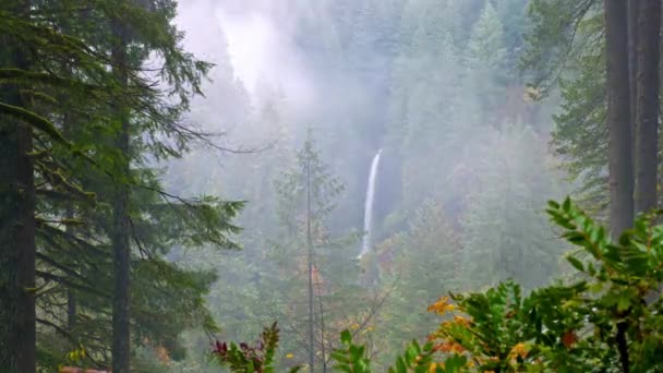 Autumn Majesty Водопад Мультах Орегоне Сша Пораженный Яркими Цветами Представленный — стоковое видео