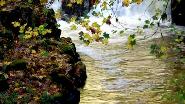 Презентація Splendor Spring Serene Side View Beautiful Waterfall Full Bloom — стокове відео
