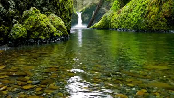 Naturens Majestätiska Kaskad Hisnande Vattenfallsresa Genom Columbia Gorge — Stockvideo