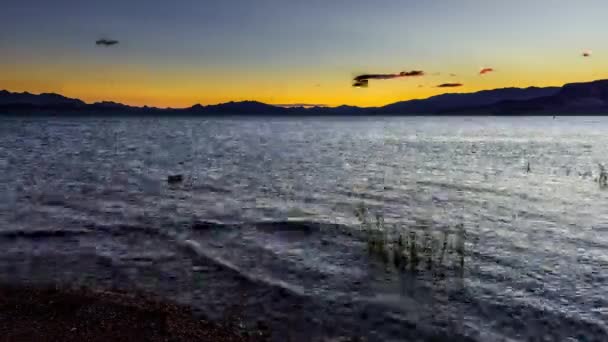 Faszinierender Zeitraffer Kranich Schießt Sonnenaufgang Desert Lake — Stockvideo