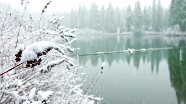 Fantastisk Snow Lake Scene Lugnt Vinterlandskap — Stockvideo