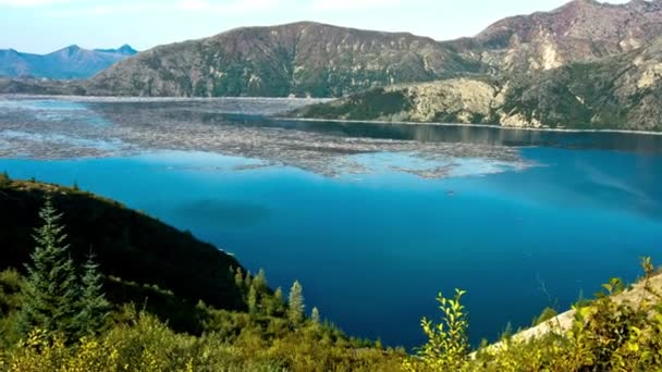 Eerie Video Spirit Lake Mount Helens Eruption Στοιχειωμένο Τοπίο Νεκρά — Αρχείο Βίντεο