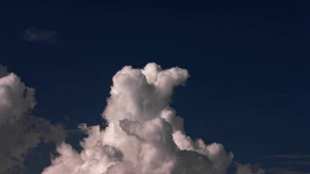 Time Lapse Video Cumulus Clouds Vertical Development — Stock Video