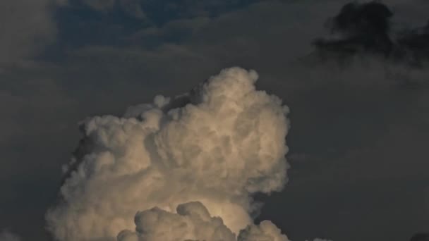 Dikey Geliştirilmiş Kümülüs Bulutlarının Zaman Süratli Videosu — Stok video