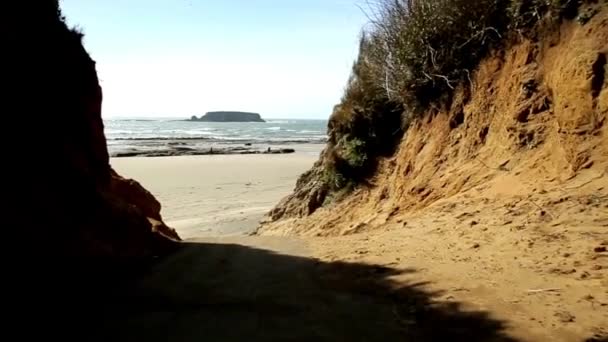 Accattivante Video Camminare Verso Una Spiaggia Sabbia — Video Stock