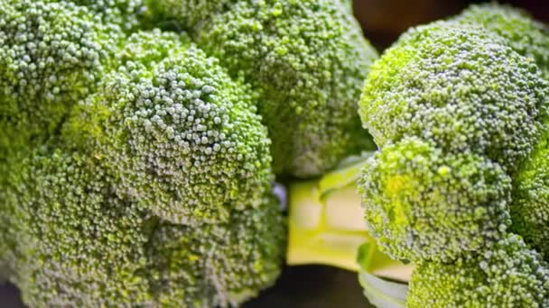 Canlı Yakın Çekim Taze Brokoli Sebzesi — Stok video