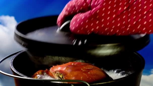 Nærbilde Video Cooking Dungeness Krabbe Støpejern Steamer Pot – stockvideo