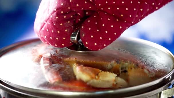 Zbliżenie Wideo Gotowania Dungeness Crab Garnku Parowca Żeliwnego — Wideo stockowe
