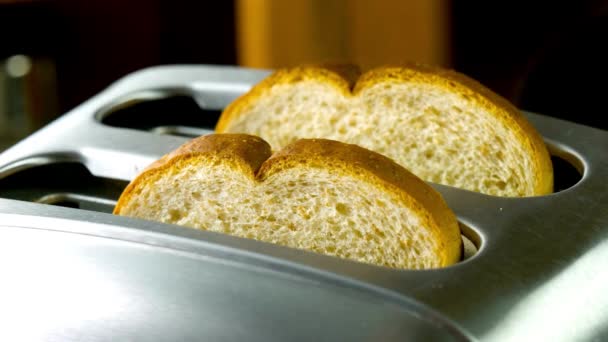 Video Närbild Att Göra Bröd Frukost Toast — Stockvideo