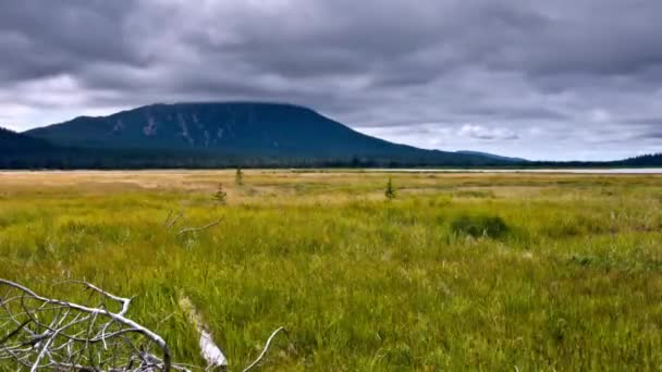 Aerial Відео Бакалаврське Пшеничне Поле Гора Муді Темними Хмарами Орегон — стокове відео