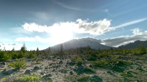 Escenario Verano Helens Mountain Sun Washington — Vídeo de stock