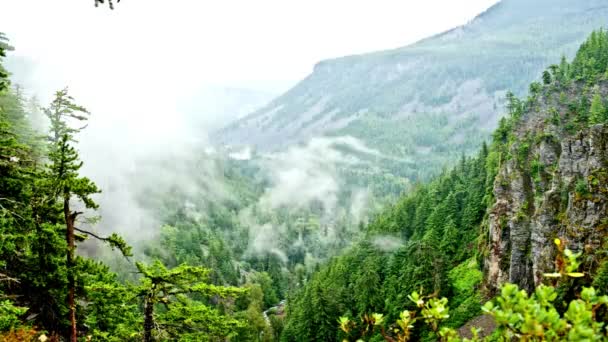 Zeitraffer Bewegende Wolken Über Bewaldeten Bergen — Stockvideo
