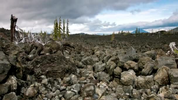 Video Discovering Majestic Three Sisters Volcanic Area Oregon Usa — 图库视频影像