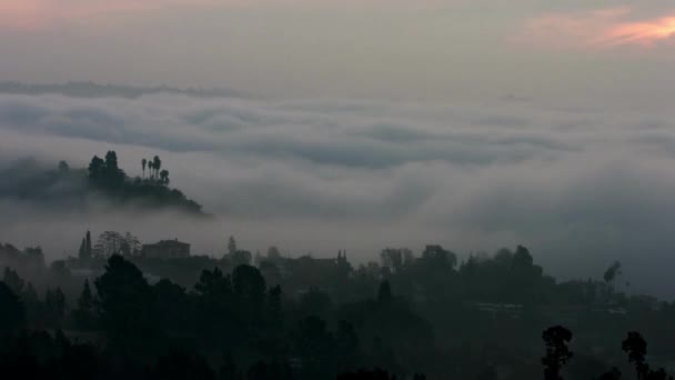 Видео Низких Утренних Облаков Лесной Горной Местности Лос Анджелеса — стоковое видео