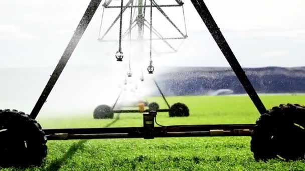 Video Automatisches Bewässerungssystem Bewegung — Stockvideo
