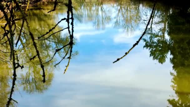 비디오 표면에 하늘의 Tranquil Waterscape — 비디오