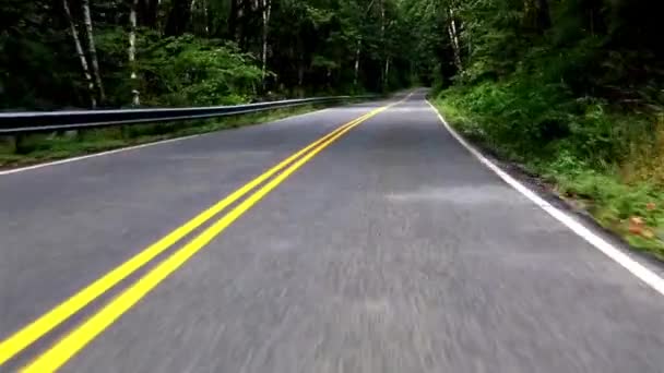 Video Kör Genom Förtrollande Forest Road Med Höga Tallar — Stockvideo