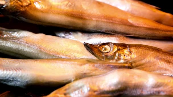 Close Video Cocción Pescado Fundido Horno Delicia Culinaria — Vídeos de Stock