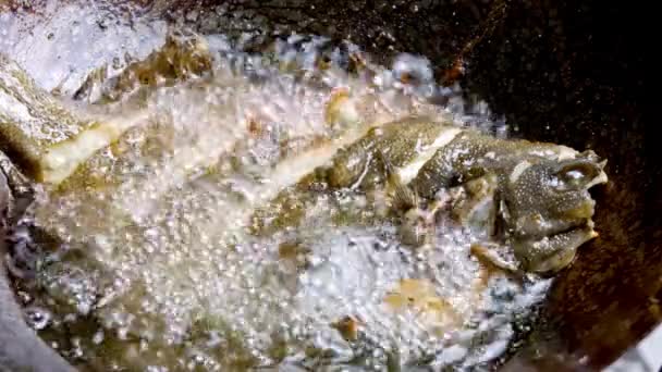 Close Βίντεο Βαθιά Τηγανητά Ψάρια Στο Wok Culinary Mastery — Αρχείο Βίντεο