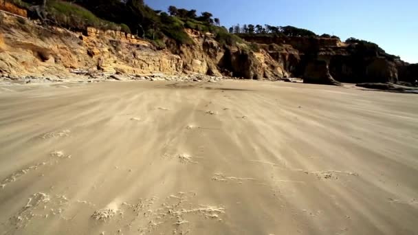 비디오 해변에 — 비디오