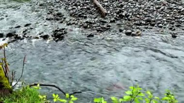 4K Video: Mountain Stream 'deki Güzel Temiz Su Manzarası - El değmemiş Doğa