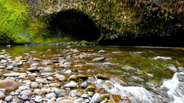 Video Hermosa Vista Del Agua Clara Arroyo Montaña Naturaleza Prístina — Vídeos de Stock