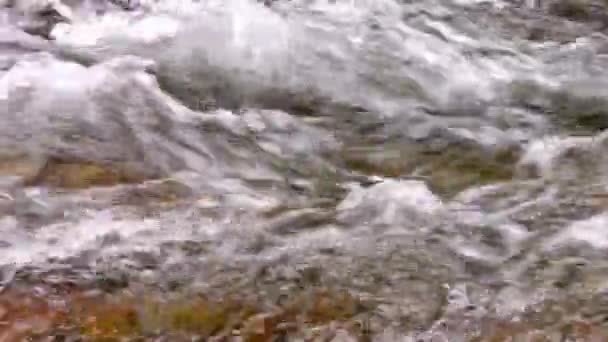 Vidéo Eau Cristalline Ruisseau Montagne Printemps Fraîcheur Fonte Des Neiges — Video