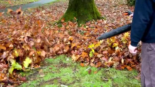 4Kビデオ 高出力空気送風機で地面に秋の葉を吹く ウィミジカル秋のシーン — ストック動画