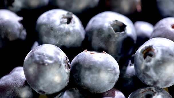 Βίντεο Κοντινό Πλάνο Των Φρέσκων Φρούτων Blueberry Juicy Delight — Αρχείο Βίντεο