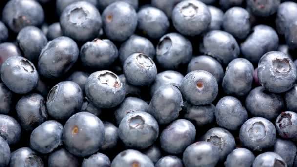 Βίντεο Κοντινό Πλάνο Των Φρέσκων Φρούτων Blueberry Juicy Delight — Αρχείο Βίντεο