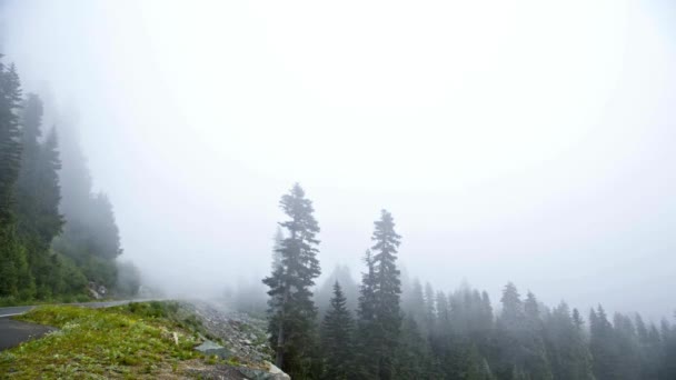 4K超高清时光飞逝 在山路上迷人的雾天旅程 — 图库视频影像