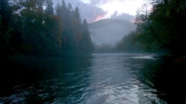 Ultra Video Foggy River Flows Evening Serenity Met Bos Bergen — Stockvideo