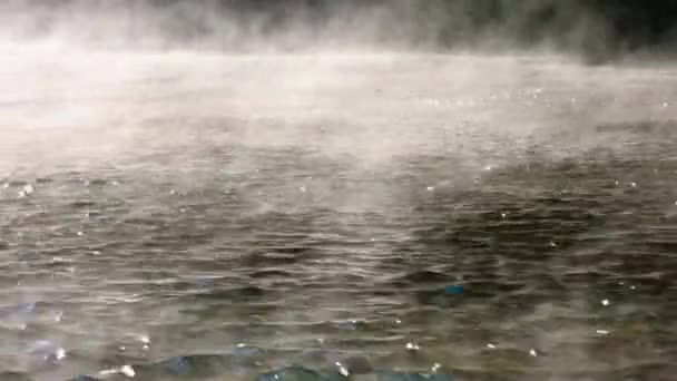 Βίντεο Ultra Νωρίς Πρωί Γαλήνη Ομίχλη Ποταμός Ροές Ειρηνικά — Αρχείο Βίντεο