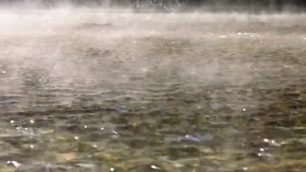 Ultra Відео Рання Ранкова Серединність Туманна Річка Тече Мирно — стокове відео