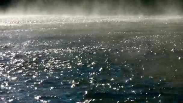 Vídeo Ultra Manhã Cedo Serenidade Foggy River Fluxos Pacificamente — Vídeo de Stock