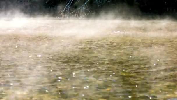 Ultra Video Vroeg Ochtend Sereniteit Foggy River Flows Vredig — Stockvideo