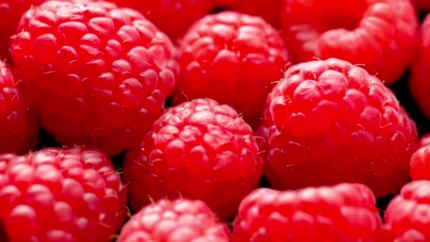Vídeo Ultra Close Red Raspberry Delight Beleza Vibrante Detalhes Impressionantes — Vídeo de Stock