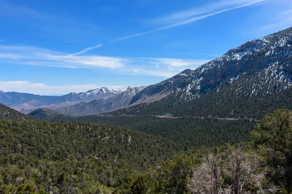 Mt. Charleston Kışın Las Vegas Yakınları - Yakın plan 4K Ultra HD Görüntü