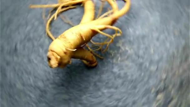 울트라 비디오 테이블에 신선한 인삼의 클로즈업 자연의 Elixir의 매혹적인 — 비디오