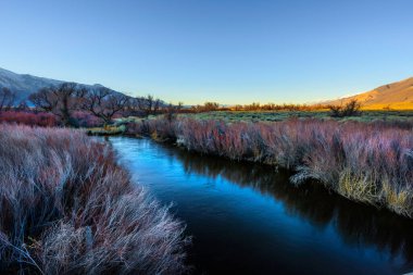 Serene Owens Nehri: Inyo County, California (4K Ultra HD)