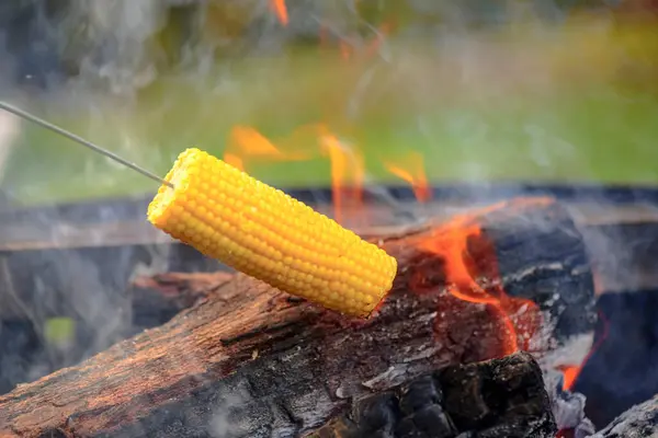 Campfire Cooking: Outdoor Culinary Delights in 4K Ultra HD