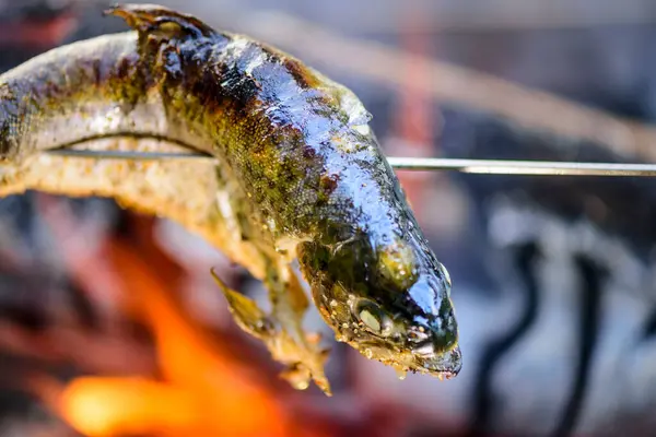 Campfire Cooking: Outdoor Culinary Delights in 4K Ultra HD